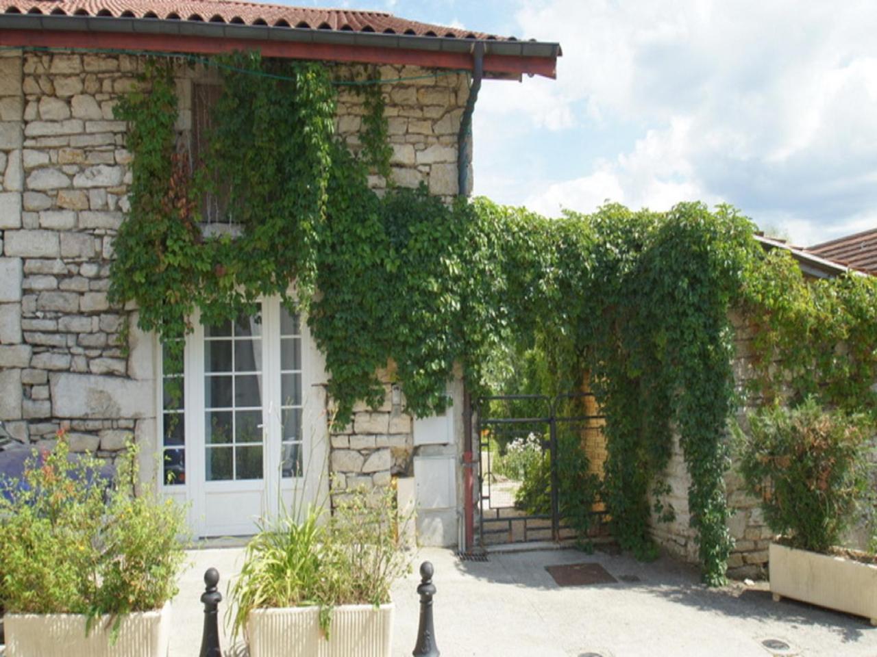 Hotel Chez Michel Oyonnax Exteriér fotografie